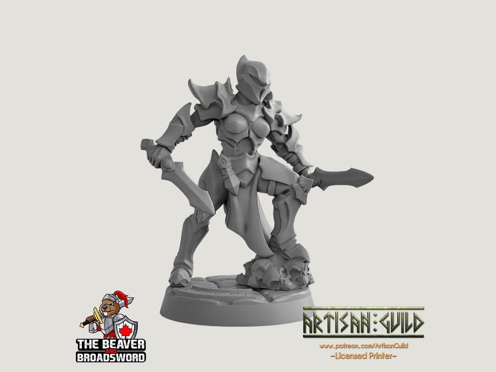 Ashen Alfar Inquisitor C - Dungeons and Dragons | Female | Fighter | Paldin Cleric | Elf Drow DnD 5e Fantasy  Pathfinder 2e 5e Tabletop Mini