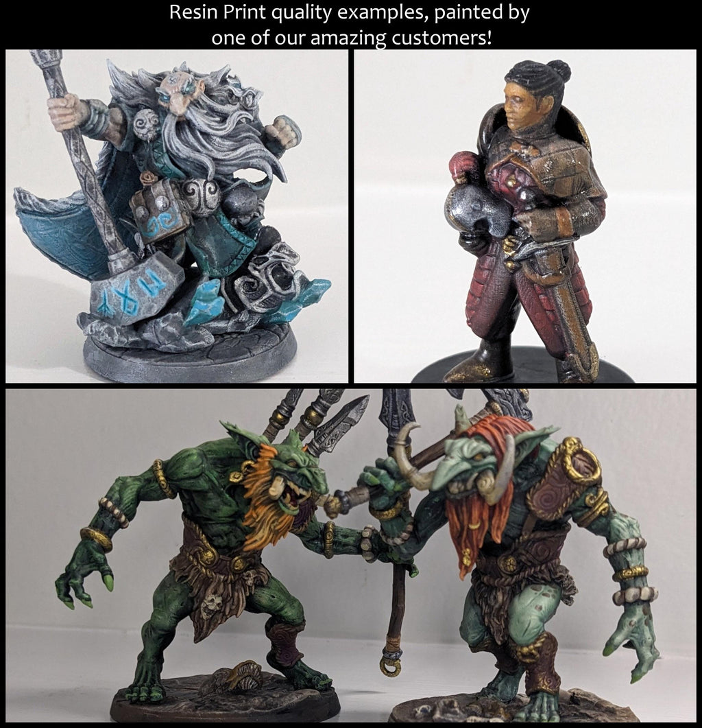 Aarakocra A Ranger Rogue premium DnD mini - High Quality Resin Printed 28mm 32mm Tabletop Miniature, Tough and Durable, Figurine and Diorama