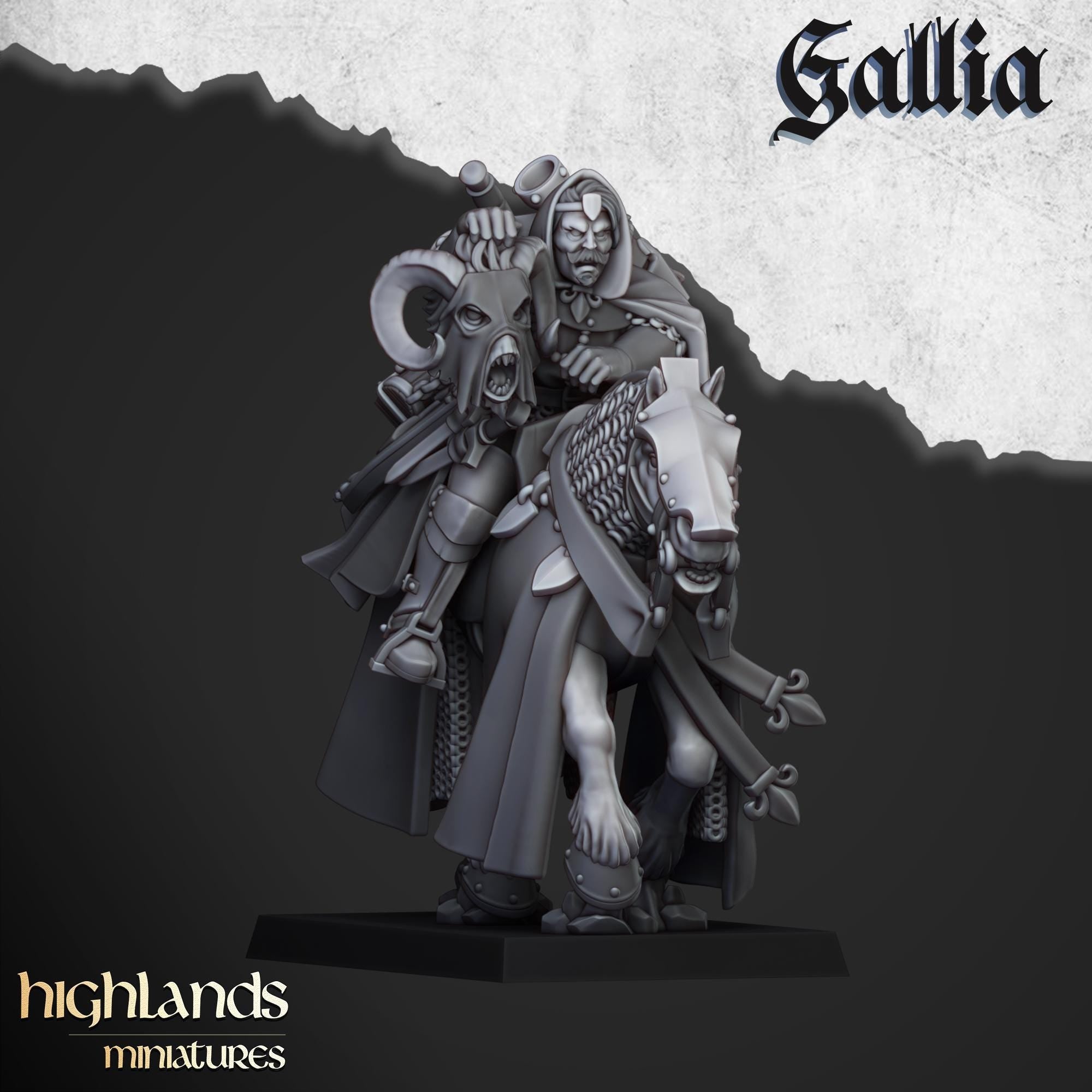 Questing Knights Miniature Set - 28/32mm Scale Premium Resin Models for Wargaming and RPG, DnD, Human, Gallia, Durable, High Quality