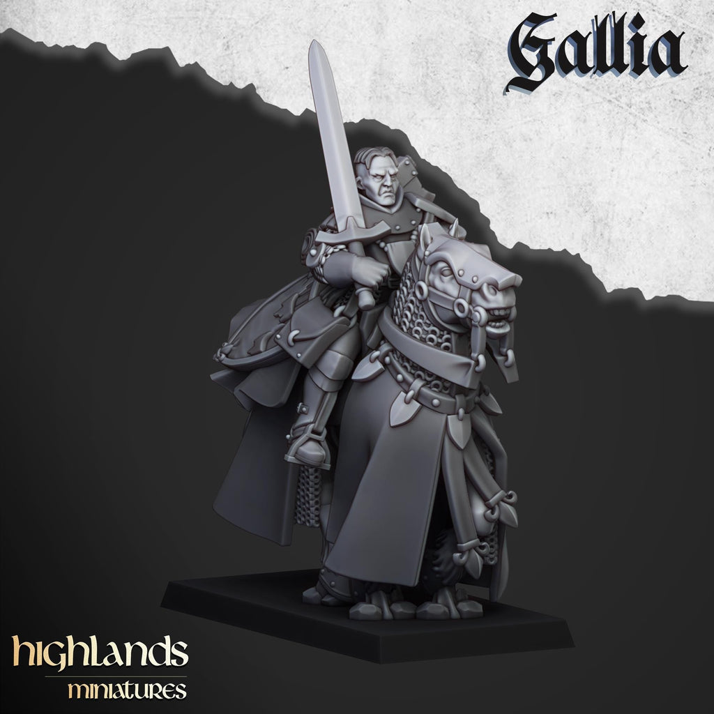 Questing Knights Miniature Set - 28/32mm Scale Premium Resin Models for Wargaming and RPG, DnD, Human, Gallia, Durable, High Quality
